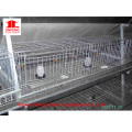 Automatic Poultry Farm Equipment with Prefab House